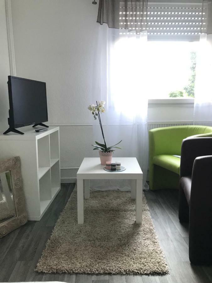 Studio 5 Near Basel Airport Сен-Луи Экстерьер фото